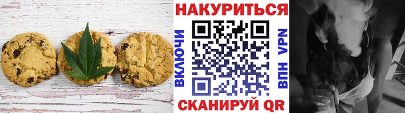 Купить закладки  Лыткарино  Canna-Cookies марихуана 