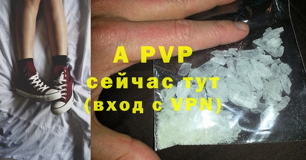сатива Вяземский