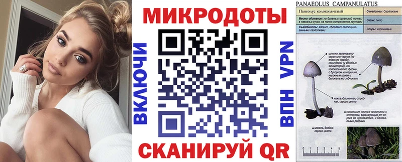 Купить  Лыткарино  Псилоцибиновые грибы Cubensis 