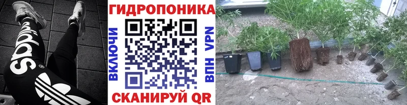 Каннабис сатива  Купить  Лыткарино 